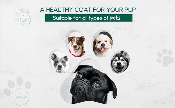 BeNat Pets. Artisanal Pet Shampoo Bar. Oat. 5.8 oz